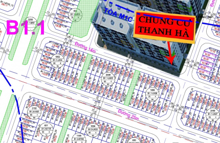 Chính chủ cần bay gấp biệt thự KĐT Thanh Hà mặt đường 14 , 100m2, Giá nét.